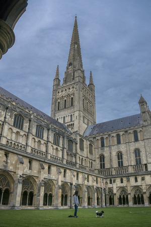 Female playing ball with a dog on the cloisters green, Norwich Cathedral, Norfolk, UKのeditorial素材