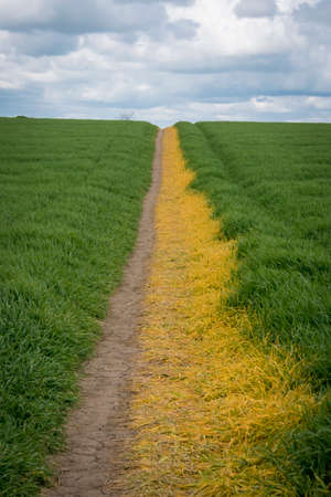 Public footpath crossing green field  in the English countryside,の写真素材