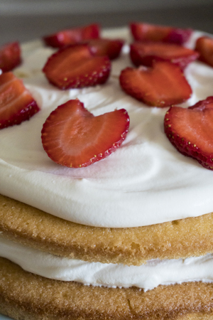 A strawberry sponge cake with fresh cream
