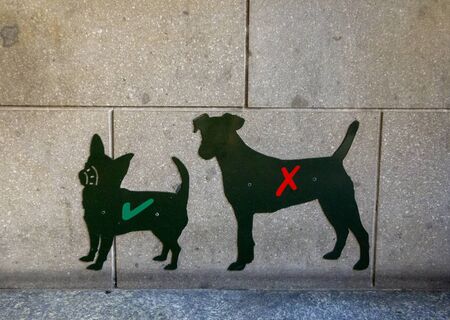 A dog sign in the ancient city of Bergamo, Italy