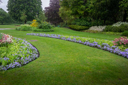 Flower beds in Hyde Park, Londonの写真素材