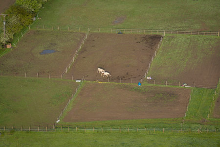 Aerial view of horse paddocks in the countryside in Kent, UKの写真素材