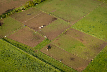 Aerial view of horse paddocks in the countryside in Kent, UKの写真素材
