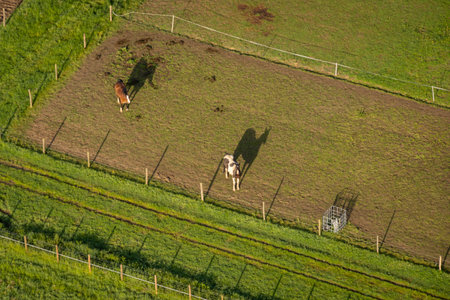 Aerial view of horse paddocks in the countryside in Kent, UKの写真素材