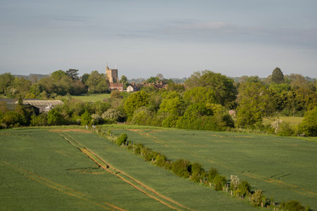 View of All Saints Church in the village of Staplehurst, Kent, UKの写真素材
