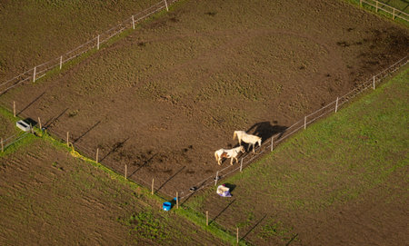 Aerial view of horse paddocks in the countryside in Kent, UKの写真素材