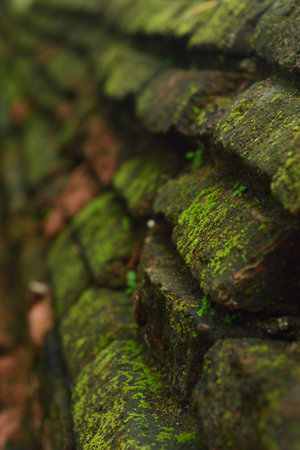 Old brick and mossの写真素材