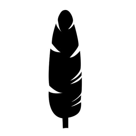 Musa banana black silhouette palm leaf. vector icon.のイラスト素材