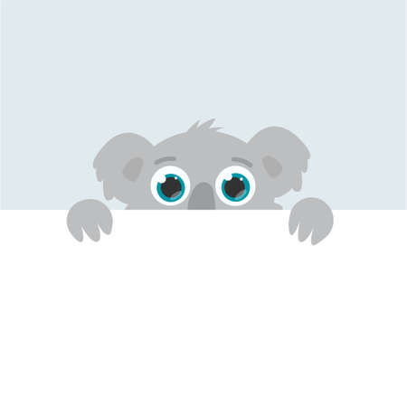 curious australian koala peeps out. flat vector cartoon illustration.のイラスト素材