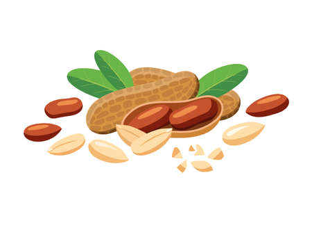 Vector peanuts whole and pieces in cartoon style for label template, snacks packaging emblem
