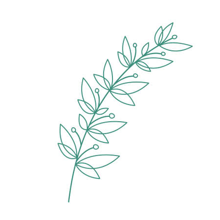 Vector hand-drawn image of a branch with leaves outlineのイラスト素材