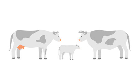 Farm animals cow family, dad mom and calfのイラスト素材