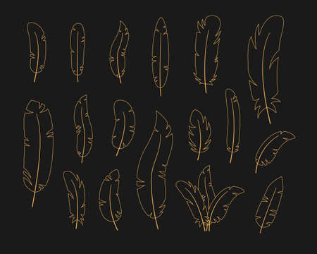 Set gold celestial feather in linear style. Spiritual elegant symbol for branding name. Esoteric magic Vector illustrationのイラスト素材