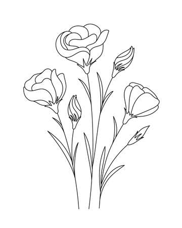 Eustoma flower drawings. Black and white with line art. Hand Drawn Botanical Illustrationのイラスト素材
