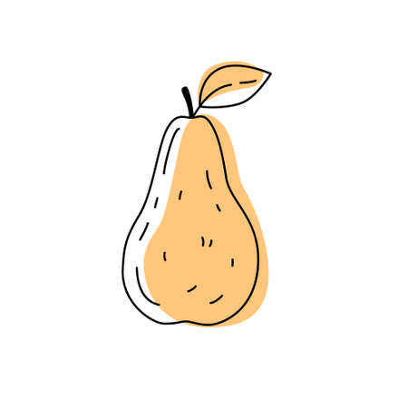 Doodle outline pear with spot. Vector illustration for packaging.のイラスト素材