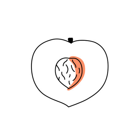 Doodle outline slice peach with spot. Vector illustration for packaging.のイラスト素材