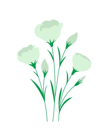 Eustoma lisianthus flowers for decoration design. floral illustration.のイラスト素材