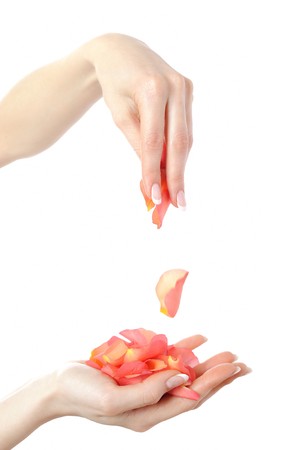 Beautiful hand with perfect french manicure on treated nails holding rose flower petals. isolated on white backgroundの写真素材