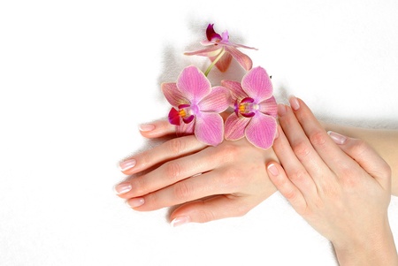 Beautiful hand with perfect nail french manicure and purple orchid flowers. isolated on white backgroundの写真素材