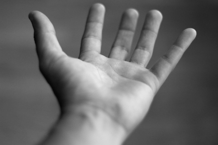 The handの写真素材