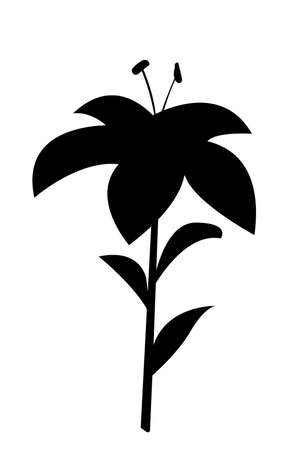 Black silhouette of a blooming lily flower on a white backgroundのイラスト素材