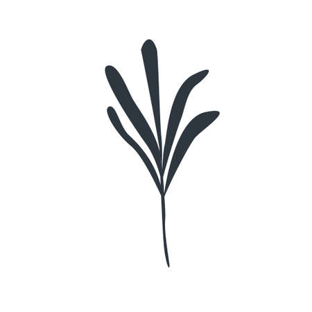Black silhouette palm tree in white backgroundのイラスト素材