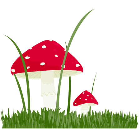 Two fly agaric plants in the grass on a white backgroundのイラスト素材