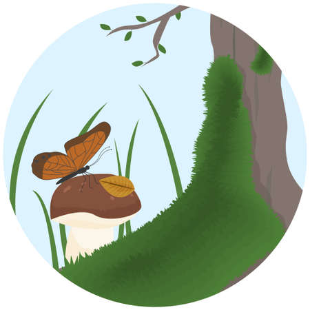 A butterfly lands on a mushroom. Boletus growing near a tree with moss. Forest landscapeのイラスト素材