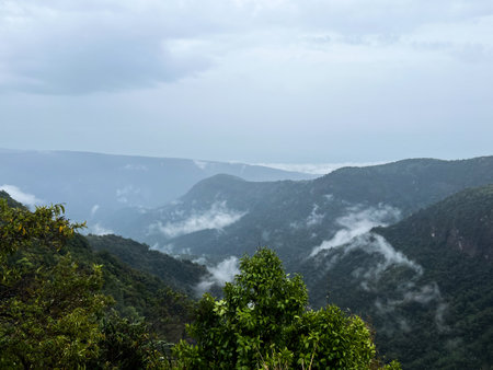 Mountain landscape with fog at india.