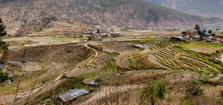 Farmer land middle of mountain. Bhutanの写真素材