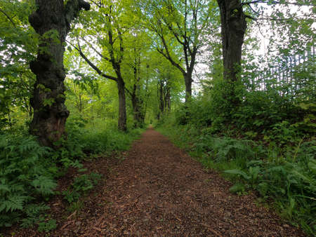 Wayのeditorial素材