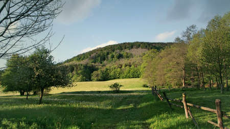 Sunny clearingのeditorial素材