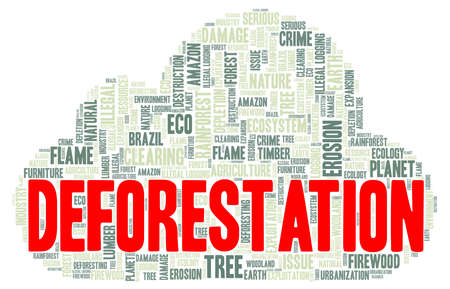 Deforestation vector illustration word cloud isolated on a white background.のイラスト素材