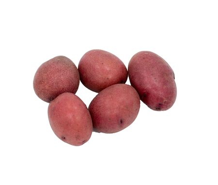 Red Skin Potatoesの写真素材