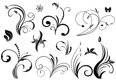 Floral elements in various styles のイラスト素材