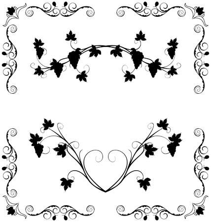Illustration the grape twig ornate for design labelsのイラスト素材