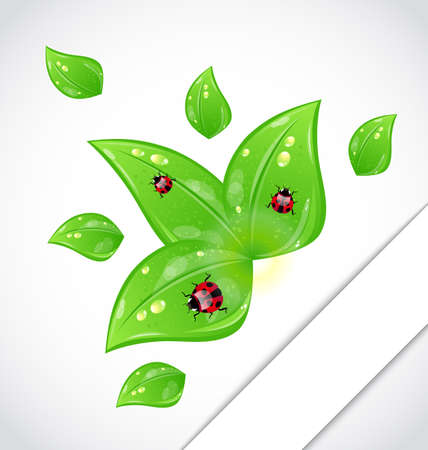 Illustration leaves with ladybugs sticking out of the cut paper - vectorのイラスト素材