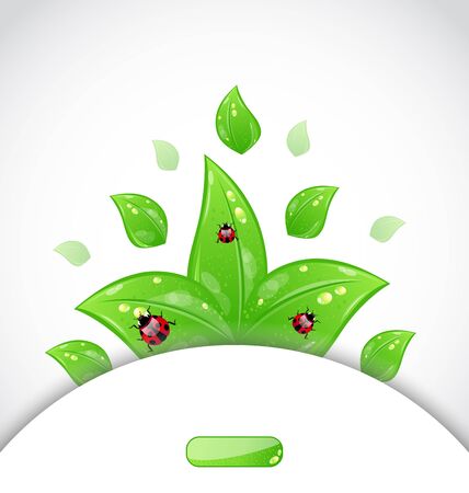 Illustration business brochure template with green leaves and ladybugs - vectorのイラスト素材