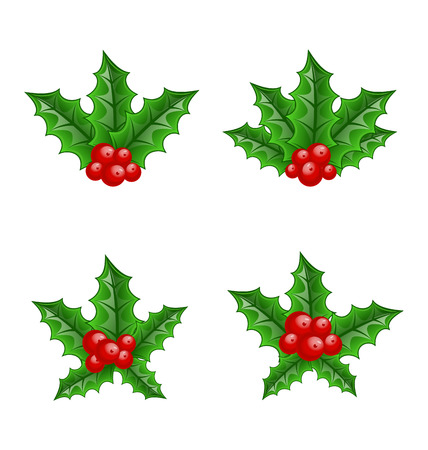 Illustration Christmas set holly berry branches isolated on white background - vectorのイラスト素材
