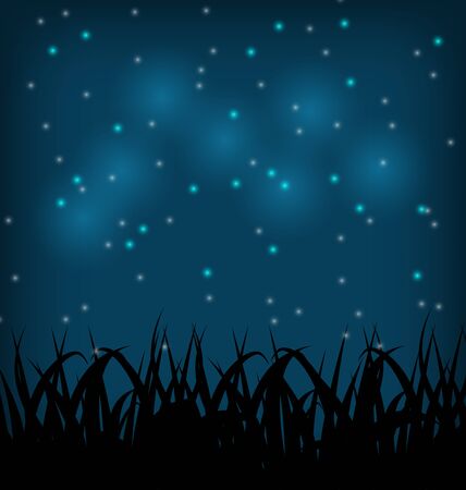 Illustration night sky with grass field - vectorのイラスト素材