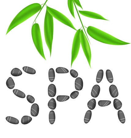 Illustration lettering spa with bamboo leavesのイラスト素材