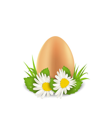 Illustration traditional Easter egg with flowers camomiles and grass, copy space for your text - vectorのイラスト素材
