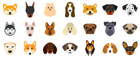 Set Heads of Dogs, Collection Different Breeds of Canines, Isolated on White Background.のイラスト素材