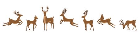 Set of Deers Isolated. Sika Deers, Reindeers, Stags - Illustration Vectorのイラスト素材