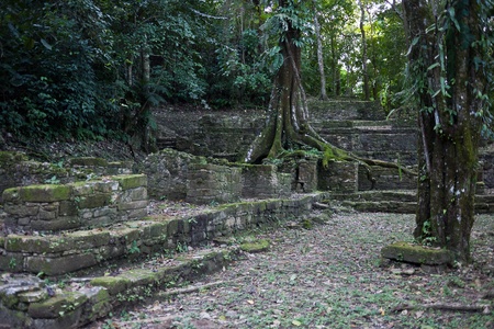Mayan ruins in Palenque, Mexicoの写真素材