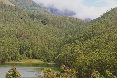 Mountain landscape, Munnar, India
