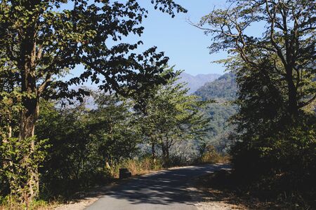 Empty mountain road in Himalaya, Rishikesh, India