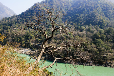 View of Ganga and Rishikesh, holy Indian place, capital of yoga