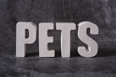 Word Pets made from white concrete letters on the gray background.の写真素材