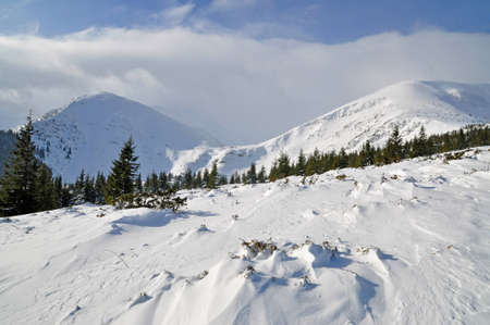 Winter in mountains
